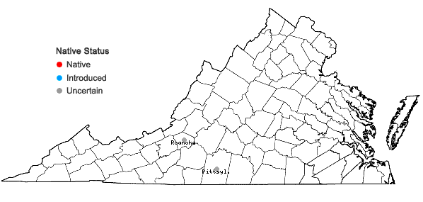 Locations ofCyperus acuminatus Torr. & Hook. in Virginia
