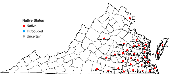 Locations ofCyperus compressus L. in Virginia