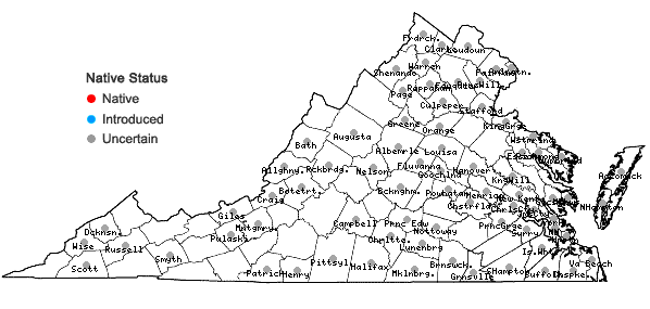 Locations ofCyperus esculentus L. var. leptostachyus Böckler in Virginia
