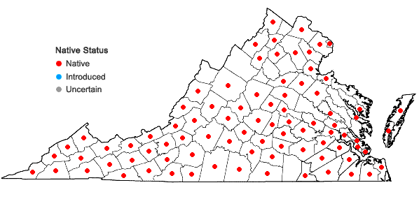Locations ofCyperus flavescens L. in Virginia