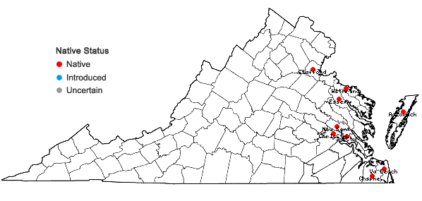 Locations ofCyperus haspan L. in Virginia