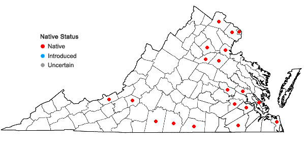 Locations ofCyperus refractus Engelm. ex Boeckl. in Virginia