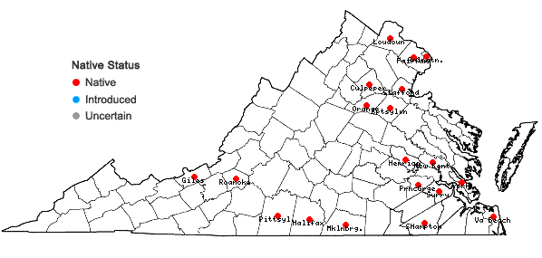 Locations ofCyperus refractus Engelm. ex Boeckl. in Virginia