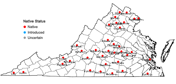 Locations ofCyperus squarrosus L. var. squarrosus in Virginia