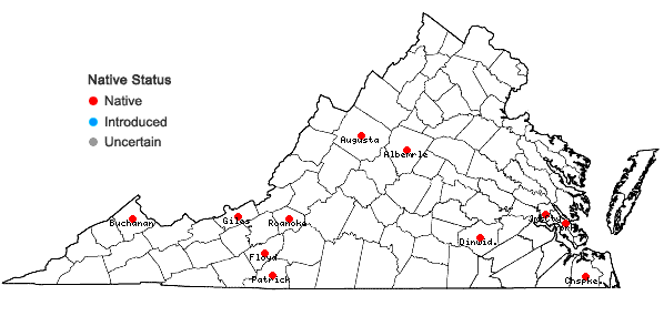 Locations ofCyrto-hypnum minutulum (Hedw.) W.R. Buck & H.A. Crum in Virginia