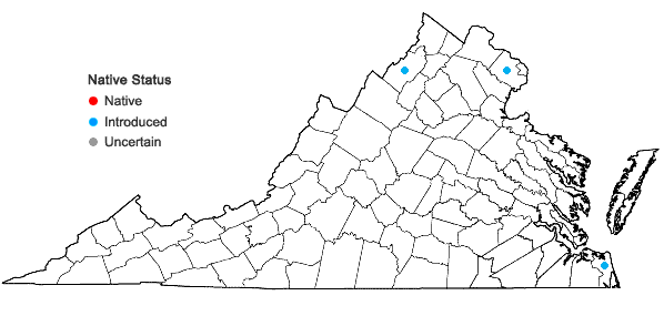 Locations ofCyrtomium falcatum (L.f.) K. Presl in Virginia