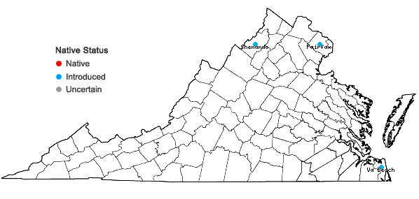 Locations ofCyrtomium falcatum (L.f.) K. Presl in Virginia