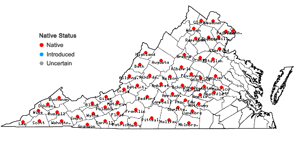 Locations ofCystopteris protrusa (Weatherby) Blasdell in Virginia