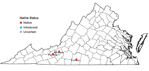 Locations ofCystopteris tennesseensis Shaver in Virginia