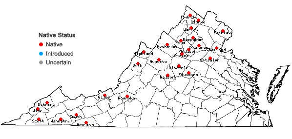 Locations ofCystopteris tenuis (Michx.) Desv. in Virginia