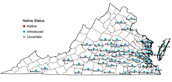 Locations ofCytisus scoparius (L.) Link in Virginia
