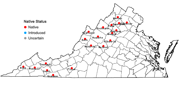 Locations ofDactylorhiza viridis (L.) R.M. Bateman Pridgeon, & M.W. Chase in Virginia