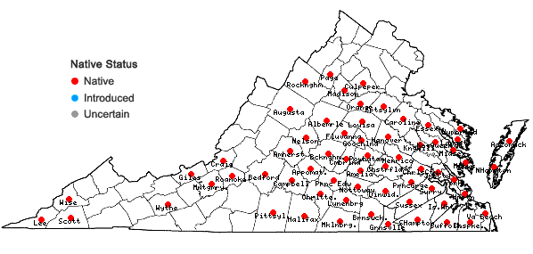 Locations ofDanthonia sericea Nutt. in Virginia