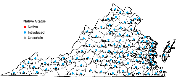 Locations ofDatura stramonium L. in Virginia
