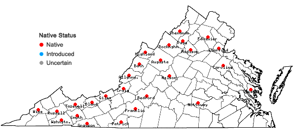 Locations ofDendrolycopodium hickeyi (W.H. Wagner, Beitel & Moran) A. Haines in Virginia
