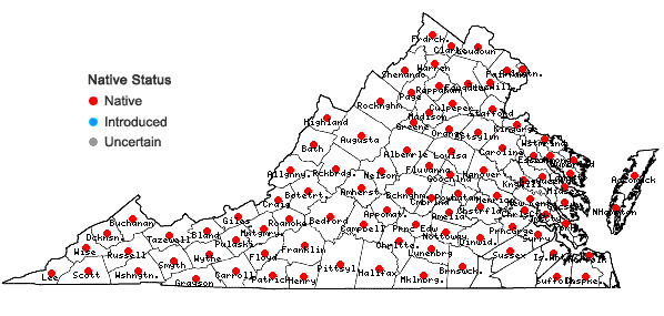 Locations ofDennstaedtia punctilobula (Michx.) T. Moore in Virginia