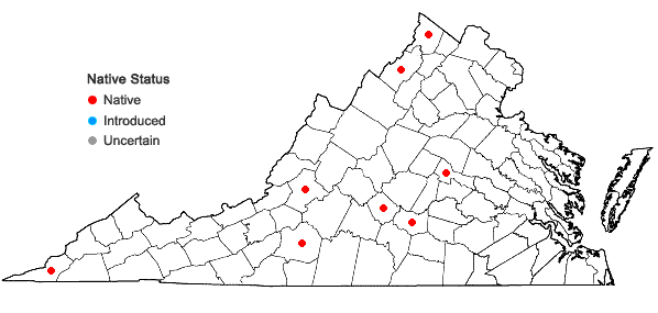 Locations ofDescurainia pinnata (Walter) Britton var. brachycarpa (Richardson) Fernald in Virginia