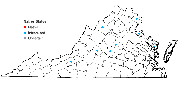 Locations ofDescurainia sophia (Linnaeus) Webb ex. Prantl in Virginia