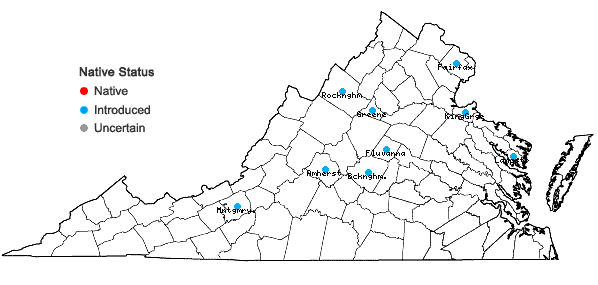 Locations ofDescurainia sophia (Linnaeus) Webb ex. Prantl in Virginia