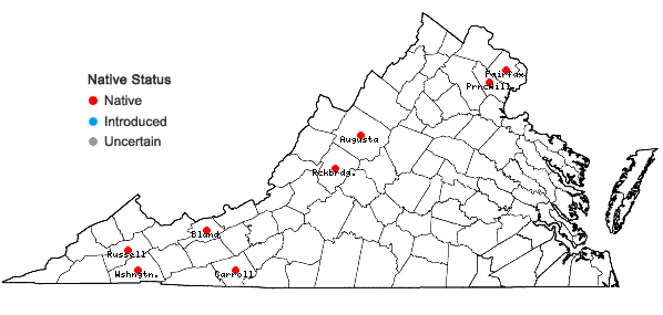 Locations ofDesmodium canadense (L.) DC. in Virginia