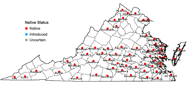 Locations ofDesmodium canescens (L.) DC. in Virginia