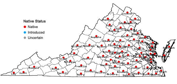 Locations ofDesmodium ciliare (Muhl. ex Willd.) DC. in Virginia