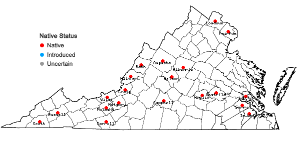 Locations ofDesmodium cuspidatum (Muhl. ex Willd.) Loudon in Virginia