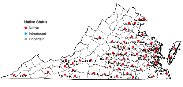 Locations ofDesmodium laevigatum (Nutt.) DC. in Virginia