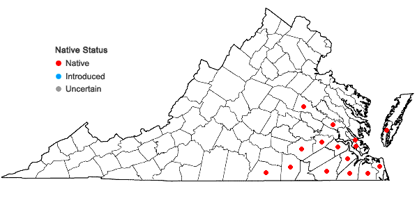Locations ofDesmodium lineatum DC. in Virginia