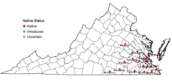 Locations ofDesmodium lineatum DC. in Virginia