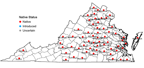 Locations ofDesmodium nuttallii (Schindl.) Schub. in Virginia