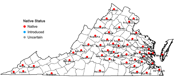 Locations ofDesmodium obtusum (Muhl. ex Willd.) DC. in Virginia