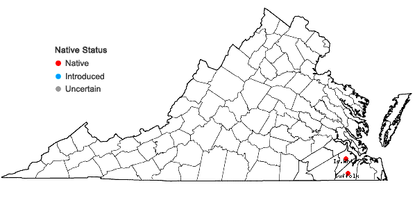 Locations ofDesmodium paniculatum (L.) DC. var. epetiolatum Schub. in Virginia