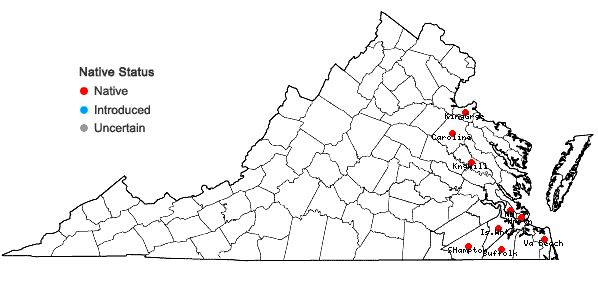 Locations ofDesmodium strictum (Pursh) DC. in Virginia
