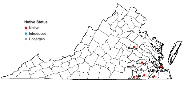 Locations ofDesmodium tenuifolium Torr. & Gray in Virginia
