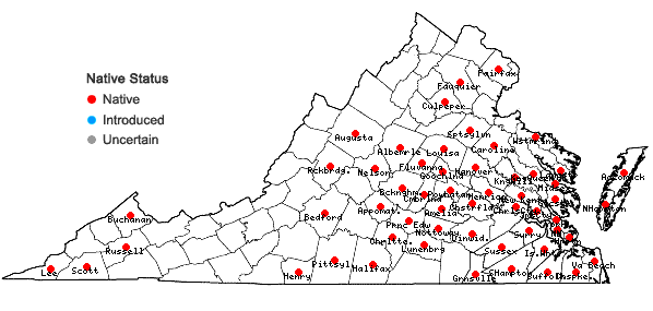 Locations ofDesmodium viridiflorum (L.) DC. in Virginia