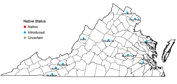 Locations ofDeutzia scabra Thunb. in Virginia