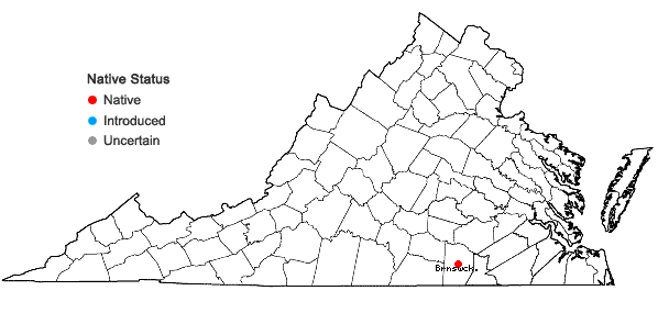 Locations ofDiamorpha smallii Britt. ex Small in Virginia