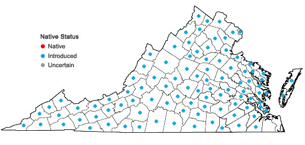 Locations ofDianthus armeria L. in Virginia