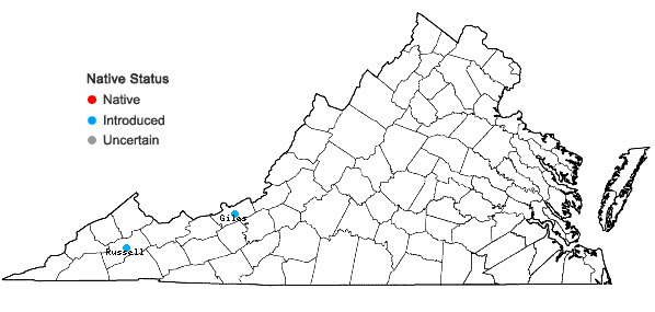 Locations ofDianthus barbatus L. in Virginia