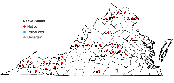 Locations ofDicentra canadensis (Goldie) Walp. in Virginia