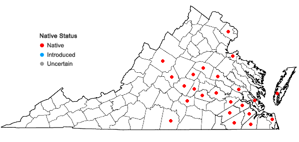 Locations ofDichanthelium angustifolium (Ell.) Gould in Virginia