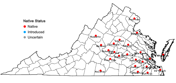 Locations ofDichanthelium angustifolium (Ell.) Gould in Virginia