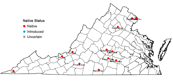 Locations ofDichanthelium annulum (Ashe) LeBlond in Virginia