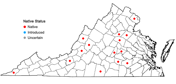 Locations ofDichanthelium bicknellii (Nash) LeBlond in Virginia