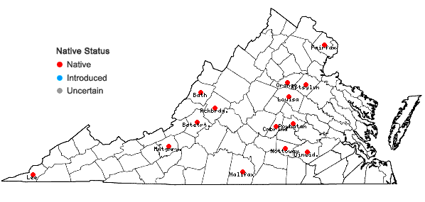 Locations ofDichanthelium bicknellii (Nash) LeBlond in Virginia