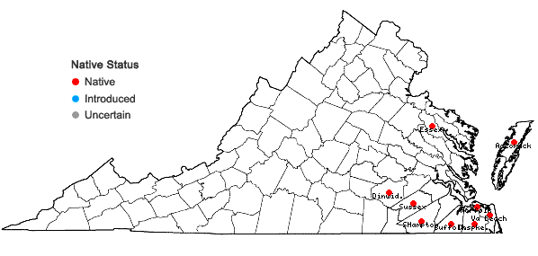 Locations ofDichanthelium caerulescens (Hack. ex Fitchc.) Correll in Virginia