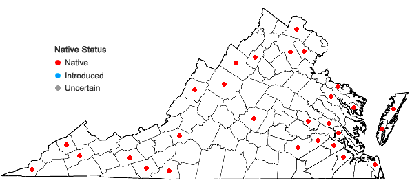 Locations ofDichanthelium columbianum (Scribn.) Freckmann in Virginia