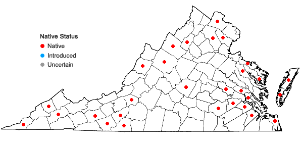 Locations ofDichanthelium columbianum (Scribn.) Freckmann in Virginia
