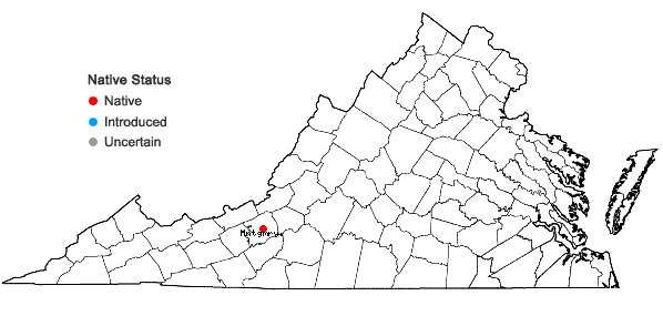Locations ofDichanthelium curtifolium (Nash) LeBlond in Virginia